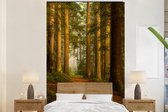 Behang - Fotobehang Bos - Natuur - Bomen - Landschap - Bladeren - Breedte 180 cm x hoogte 280 cm