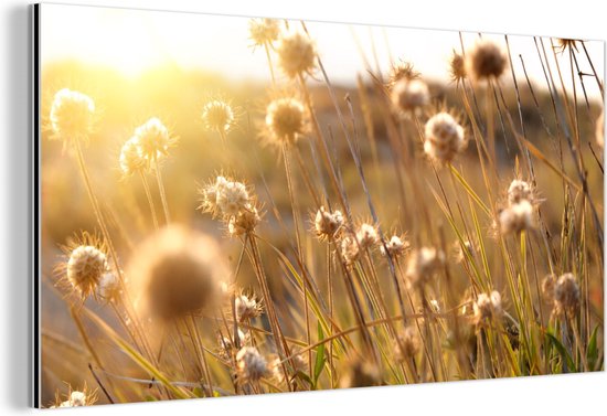 Décoration murale Métal - Peinture Aluminium Industrielle - Plantes - Nature - Fleurs - Soleil - Horizon - 40x20 cm - Dibond - Photo sur aluminium - Décoration murale industrielle - Pour le salon / chambre