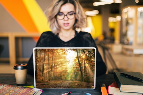 Autocollant pour ordinateur portable - 13,3 pouces - Forêt - Automne - Soleil - Paysage - Nature - Arbres - Feuilles - 31x22,5 cm - Autocollants pour ordinateur portable - Skin pour ordinateur portable - Housse