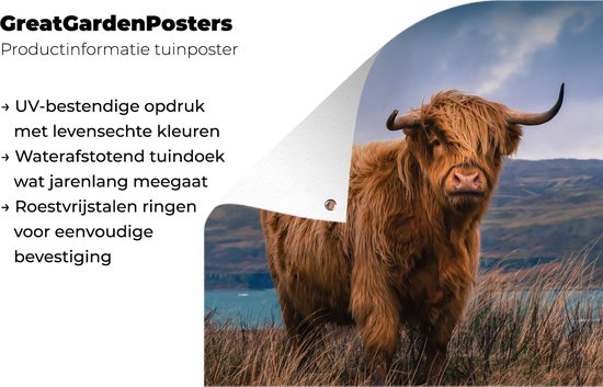 Posters de Posters de jardin Scottish Highlander - Berg - Water - 50x50 cm