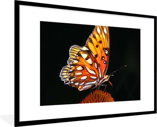 Fotolijst incl. Poster - Vlinder - Bloemen - Insect - Portret - Zwart - Oranje - 120x80 cm - Posterlijst