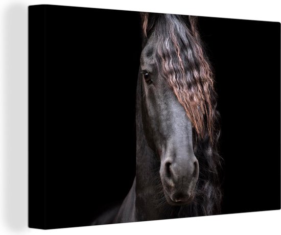 Tableau Peinture Paarden - Frison - Crinières - Zwart - Animaux - 60x40 cm - Décoration murale