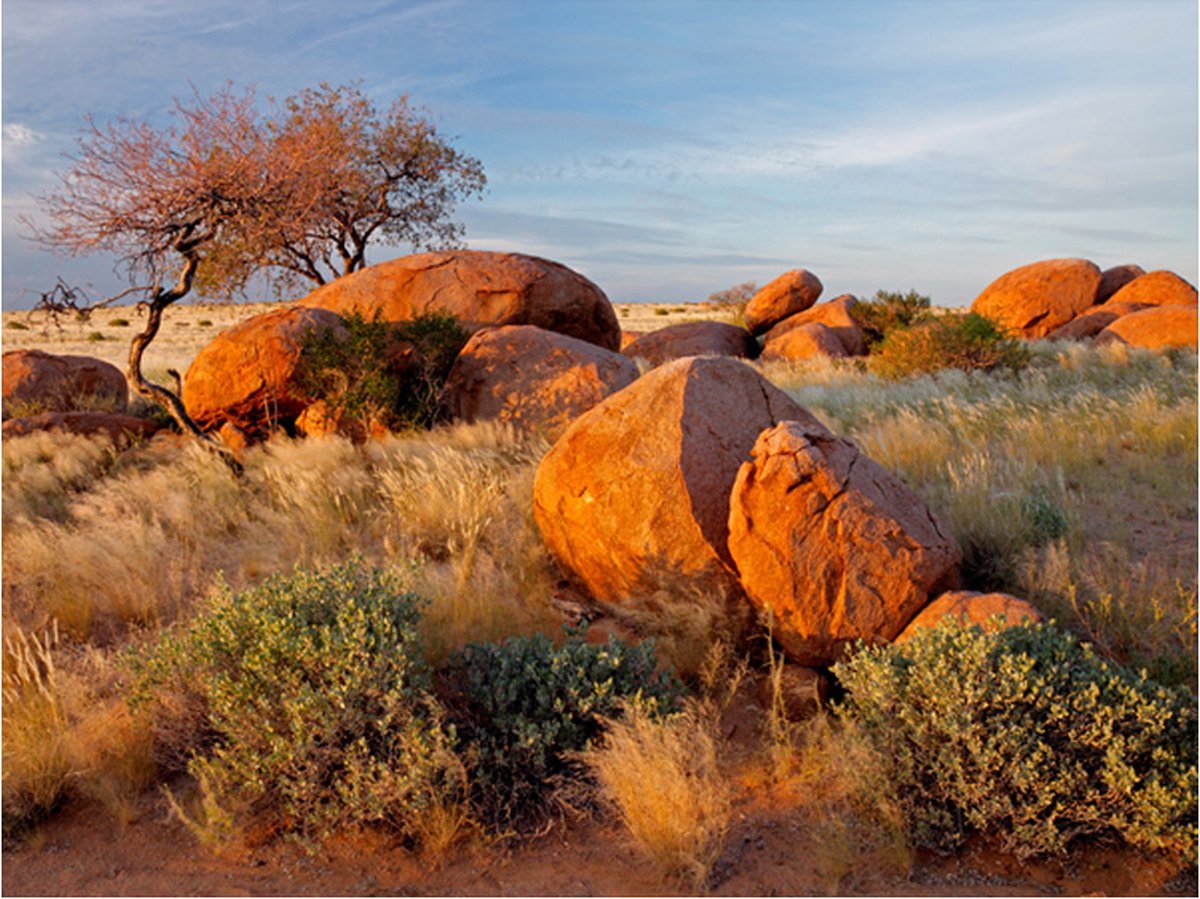 Fotobehang - Afrikaanse landschap, Namibië.