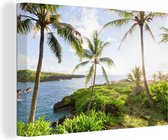 Canvas Schilderij Tropisch landschap met palmbomen in Maui - 120x80 cm - Wanddecoratie