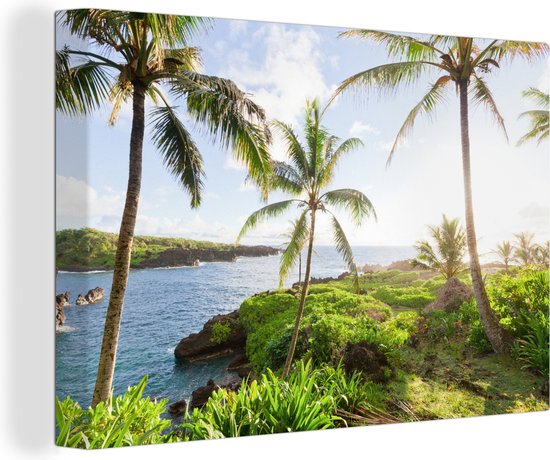 Foto: Canvas schilderij tropisch landschap met palmbomen in maui 120x80 cm wanddecoratie