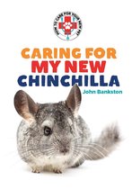 Caring for My New Chinchilla