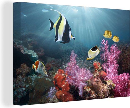 Kleurig koraal Canvas 120x80 cm - Foto print op Canvas schilderij (Wanddecoratie)