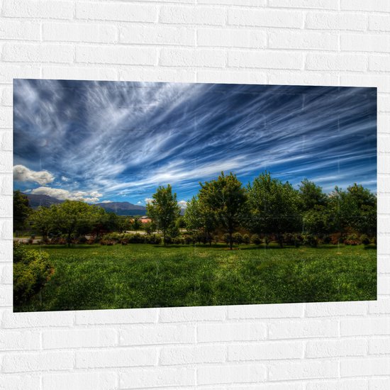 WallClassics - Muursticker - Landschap van Gras en Bomen - 120x80 cm Foto op Muursticker