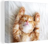 Canvas - Schilderij - Kat - Deken - Poes - Kitten - Katten op canvas - Dieren - Dier - Kamer decoratie - 80x60 cm