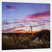 WallClassics - Muursticker - Roze Wolken in de Lucht - 100x100 cm Foto op Muursticker