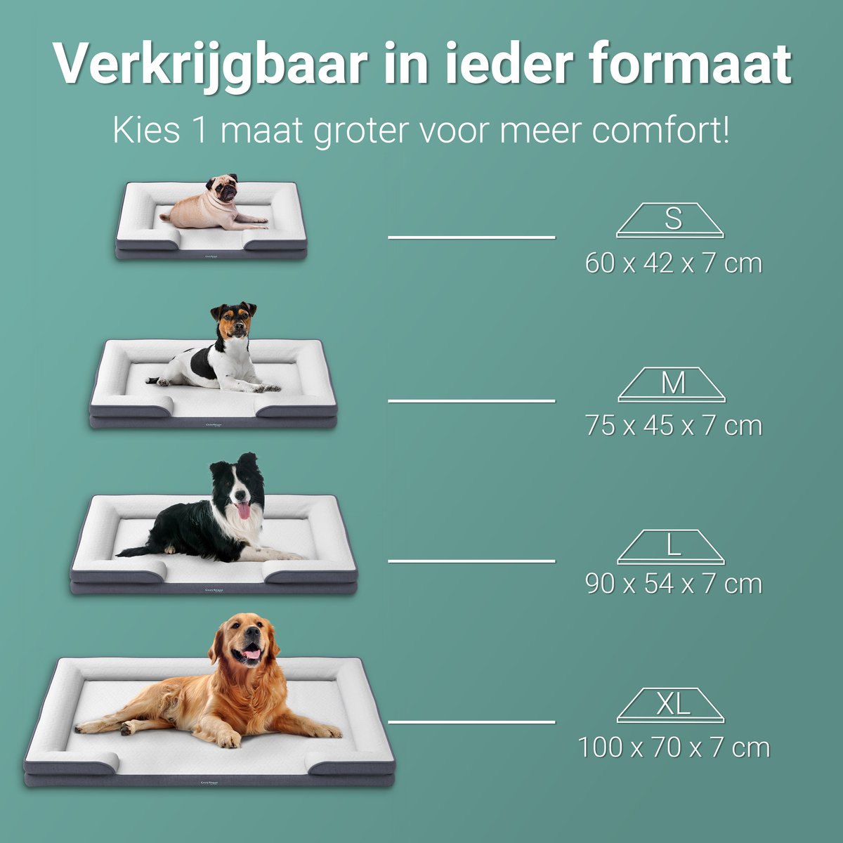 CozySense® Orthopedische Hondenmand 100 x 70 cm - Maat XL - Waterdicht Hondenbed met Wasbare Hoes - Geschikt Als Benchkussen - Wit – foto 5