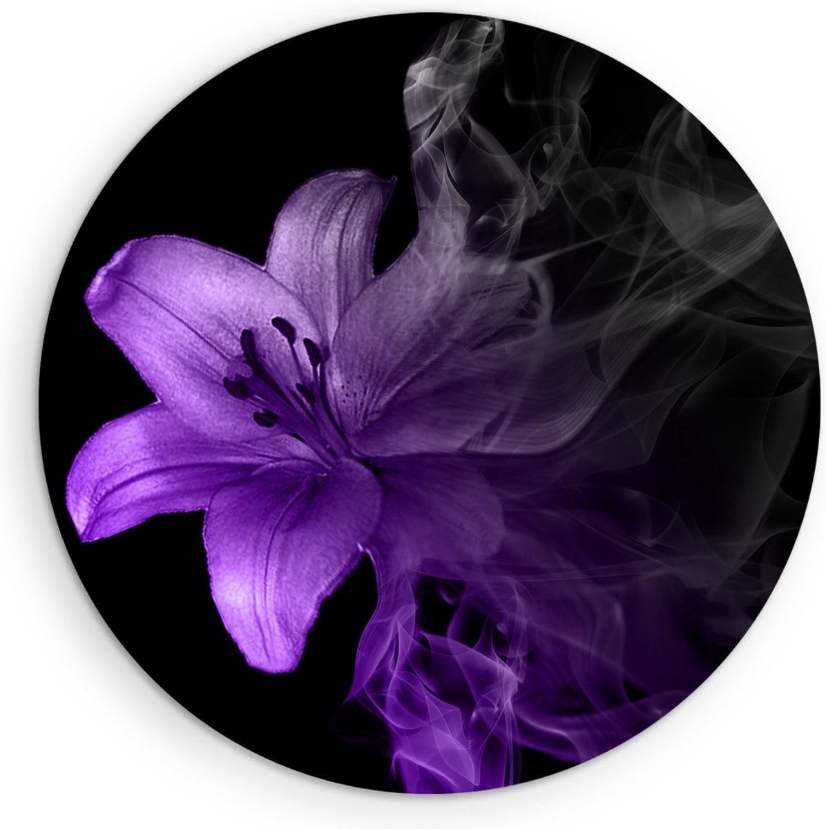 Saammp Forex Muurcirkel - Paarse bloem - Natuur - Ø 70 - Wandcirkel - Wanddecoratie Cirkel - Muurdecoratie Woonkamer - Kantoor Decoratie