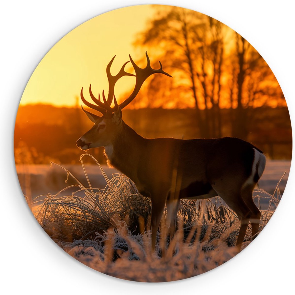 Saammp Muurcirkel Hout - Hert - Zonsondergang - Winter - Natuur - Dieren - Ø 30 - Wandcirkel - Wanddecoratie Cirkel - Muurdecoratie Woonkamer - Slaapkamer decoratie - Rond Schilderij