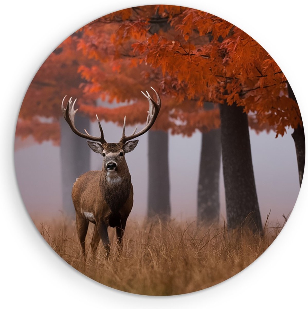 Saammp Forex Muurcirkel - Hert - Portret - Herfst - Natuur - Dieren - Ø 70 - Wandcirkel - Wanddecoratie Cirkel - Muurdecoratie Woonkamer - Slaapkamer decoratie - Rond Schilderij