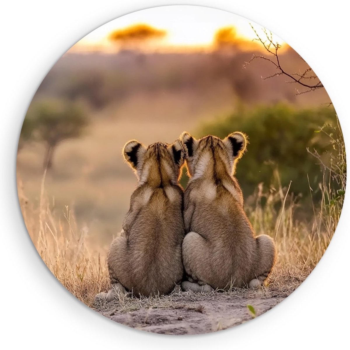 Saammp Muurcirkel Hout - Leeuwenwelpen zitten tegen elkaar aan - Dieren - Natuur - Ø 50 - Wandcirkel - Wanddecoratie Cirkel - Muurdecoratie Woonkamer - Slaapkamer decoratie - Rond Schilderij