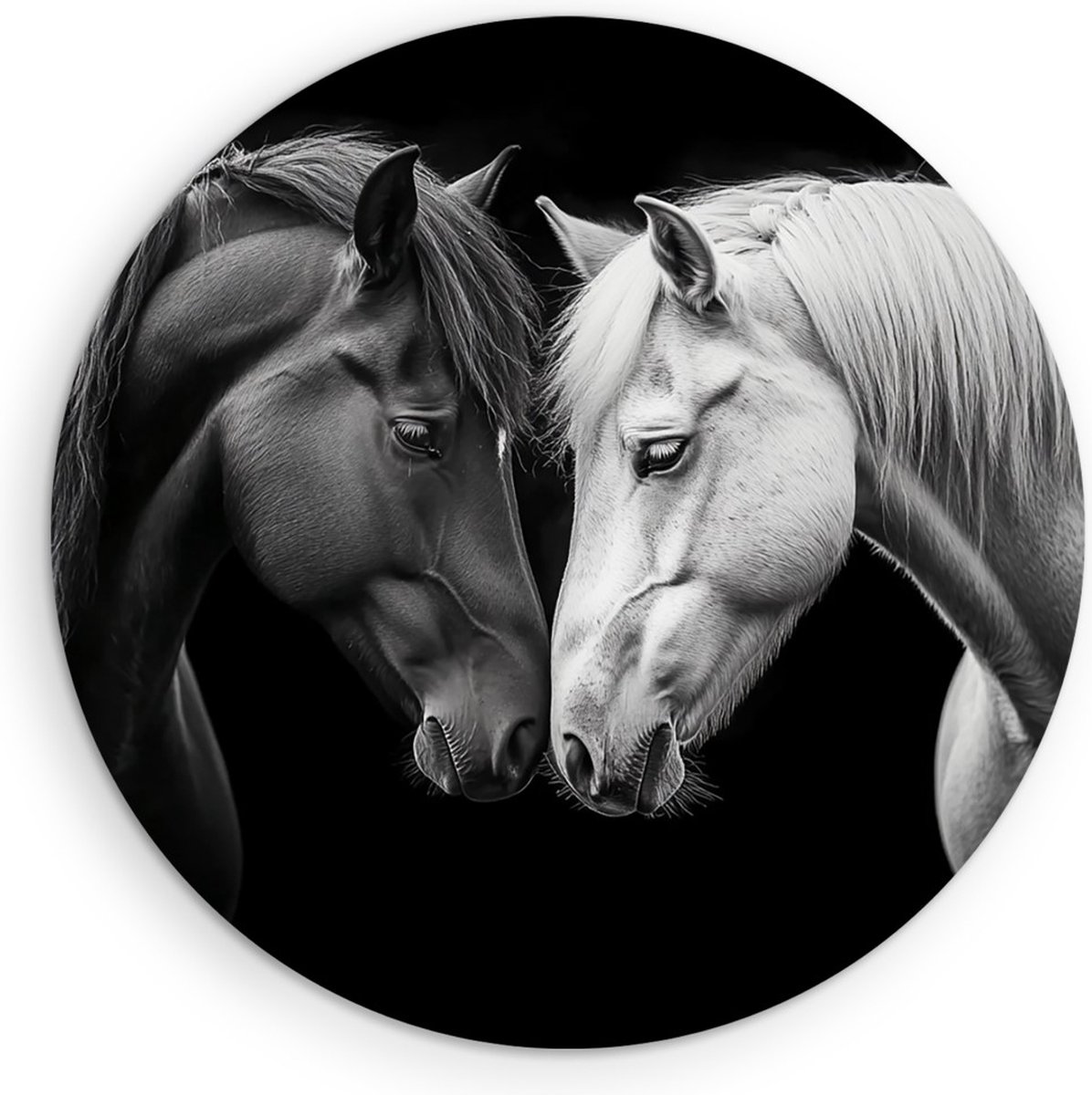 Saammp Muurcirkel Hout - 2 Verliefde Paarden - Zwart-Wit - Dieren - Natuur - Ø 30 - Wandcirkel - Wanddecoratie Cirkel - muurdecoratie Woonkamer - Slaapkamer decoratie - Rond Schilderij