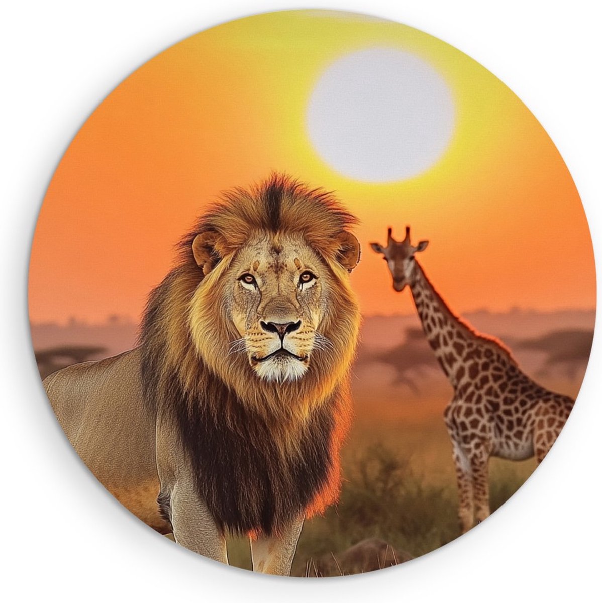 Saammp Muurcirkel Hout - Leeuw met Giraffe - Dieren - Natuur - Ø 80 - Wandcirkel - Wanddecoratie Cirkel - Muurdecoratie Woonkamer - Slaapkamer decoratie - Rond Schilderij