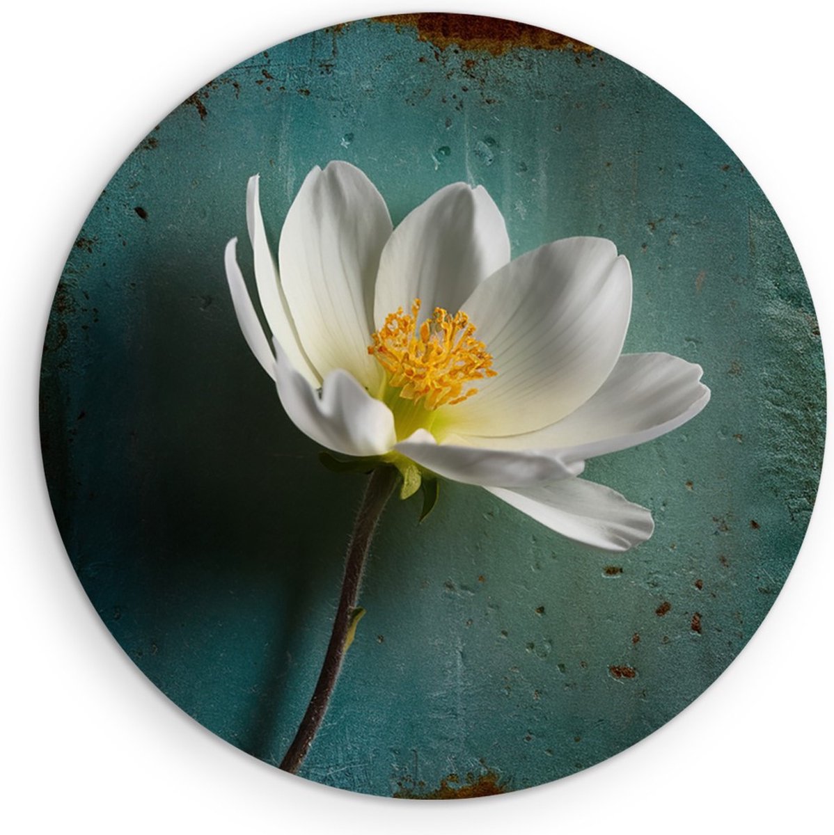 Saammp Muurcirkel Hout - Abstracte Witte Bloem - vintage - Abstract - Ø 80 - Wandcirkel - Wanddecoratie Cirkel - Muurdecoratie Woonkamer - Kantoor Decoratie