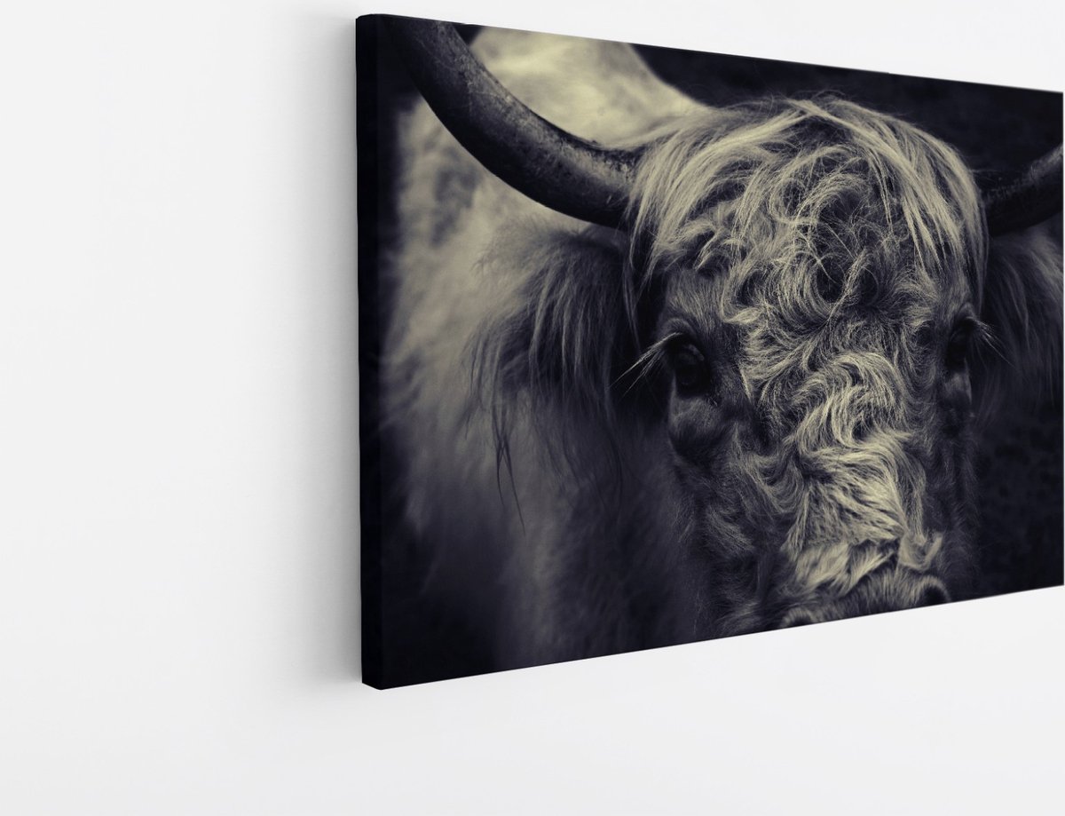 Saammp Canvas Schilderij - Portret Schotse Hooglander Koe - Natuur - Dieren - 120x80 - Foto op canvas - Wanddecoratie - Muurdecoratie Woonkamer - Slaapkamer decoratie - Canvas Print Multicolor