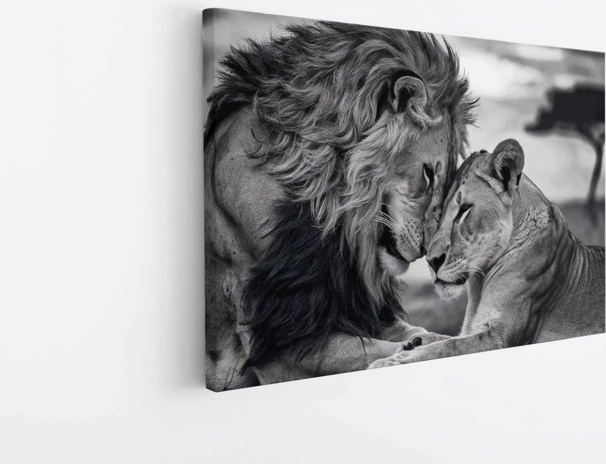 Saammp Canvas Schilderij - 2 Leeuwen - Liefdevol - Natuur - Dieren - 100x75 - Foto op canvas - Wanddecoratie - Muurdecoratie Woonkamer - Slaapkamer decoratie - Canvas Print Multicolor