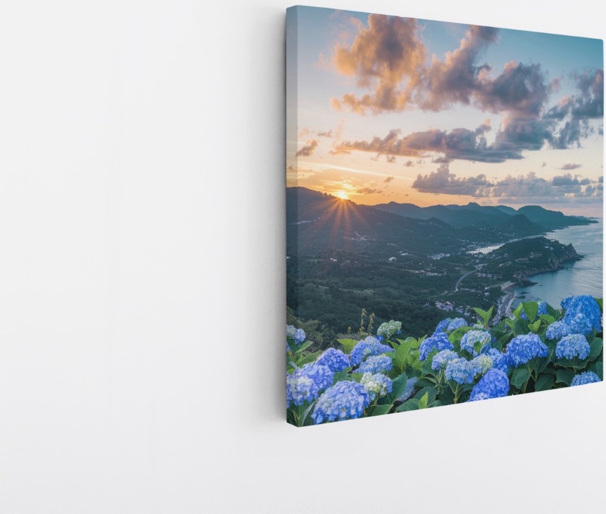 Saammp Canvas Schilderij - Bloemen aan de kust - Landschap - Natuur - 20x20 - Foto op canvas - Wanddecoratie - Muurdecoratie Woonkamer - Slaapkamer decoratie - Canvas Print Multicolor