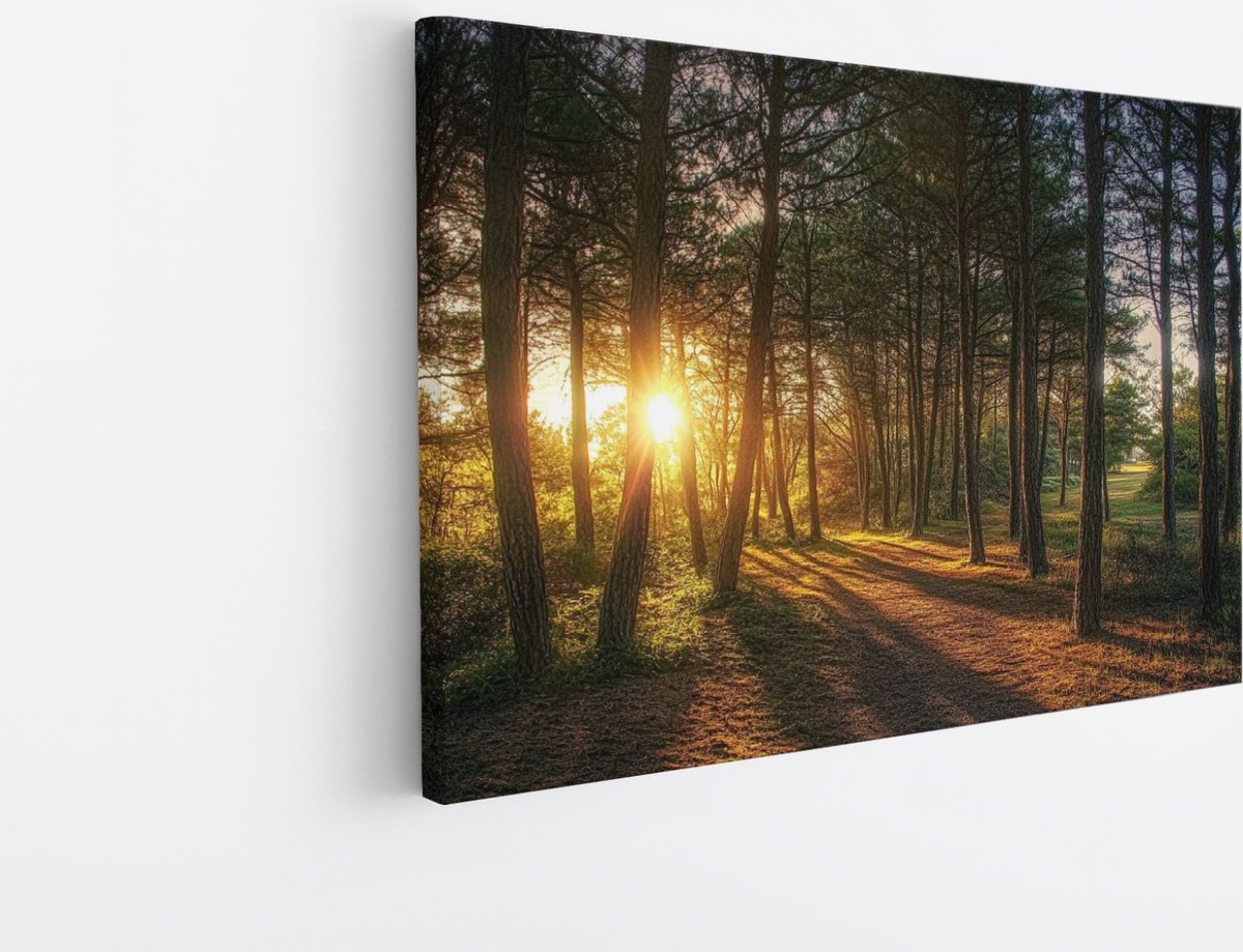 Saammp Canvas Schilderij - Natuur - Zonsondergang - Landschap - 120x80 - Foto op canvas - Wanddecoratie - Muurdecoratie Woonkamer - Slaapkamer decoratie - Canvas Print Multicolor