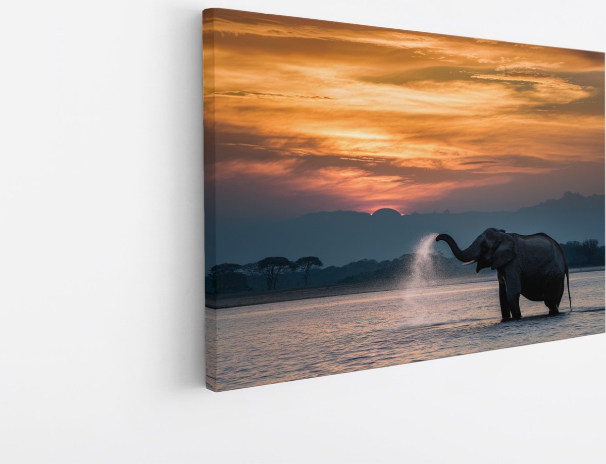 Saammp Canvas Schilderij - Olifanten in het water - Afrika - Dieren - 40x30 - Foto op canvas - Wanddecoratie - muurdecoratie Woonkamer - Slaapkamer decoratie - Canvas Print Multicolor