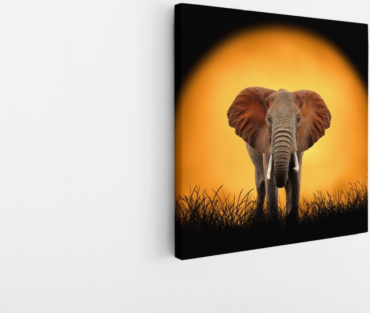 Saammp Canvas Schilderij - Olifant voor de zon - Natuur - Dieren - 100x100 - Foto op canvas - Wanddecoratie - Muurdecoratie Woonkamer - Slaapkamer decoratie - Canvas Print Multicolor
