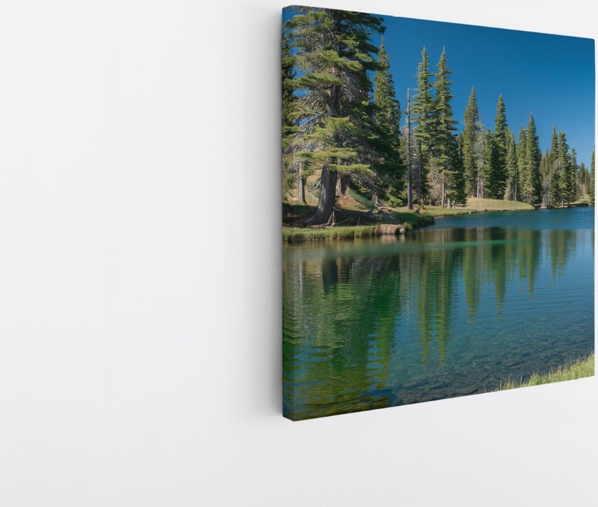 Saammp Canvas Schilderij - Meer tussen de bomen - Landschap - Natuur - 60x60 - Foto op canvas - Wanddecoratie - Muurdecoratie Woonkamer - Slaapkamer decoratie - Canvas Print Multicolor
