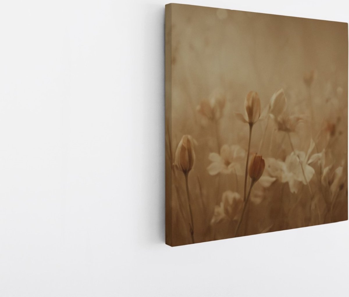 Saammp Canvas Schilderij - Vintage - Witte Bloemen - Beige - Abstract - 100x100 - Foto op canvas - Wanddecoratie - Muurdecoratie Woonkamer - Kantoor Decoratie Multicolor