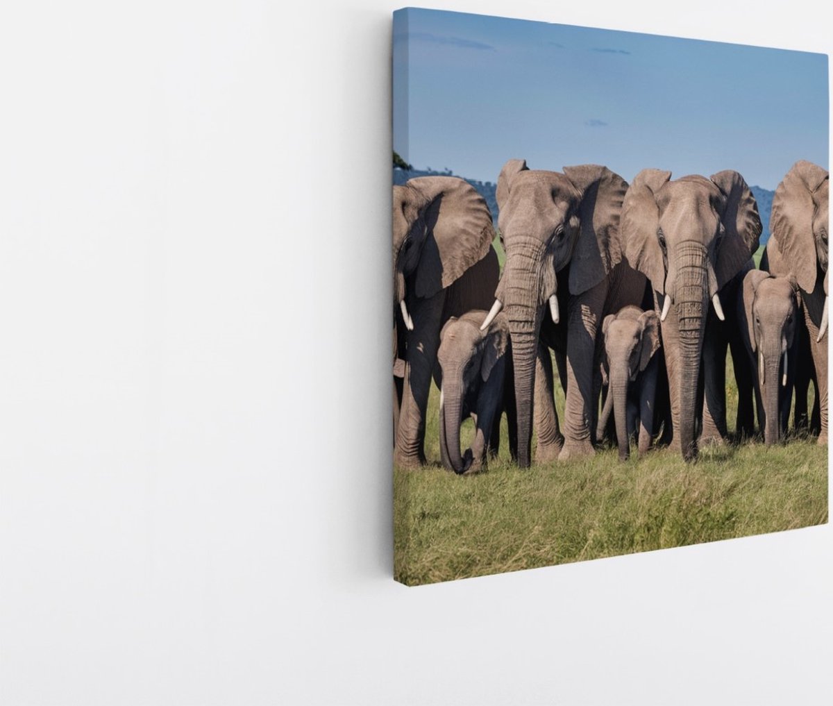 Saammp Canvas Schilderij - Grote Olifanten Familie - Afrika - Dieren - 30x30 - Foto op canvas - Wanddecoratie - muurdecoratie Woonkamer - Slaapkamer decoratie - Canvas Print Multicolor