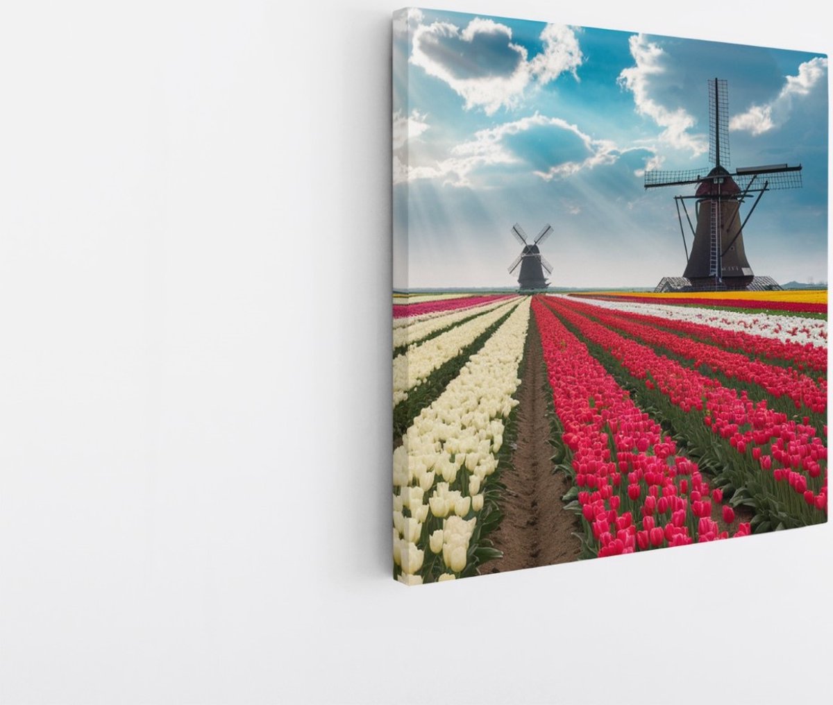 Saammp Canvas Schilderij - Kleurrijk Tulpenveld - Natuur - Landschap - 40x40 - Foto op canvas - Wanddecoratie - Muurdecoratie Woonkamer - Slaapkamer decoratie - Canvas Print Multicolor
