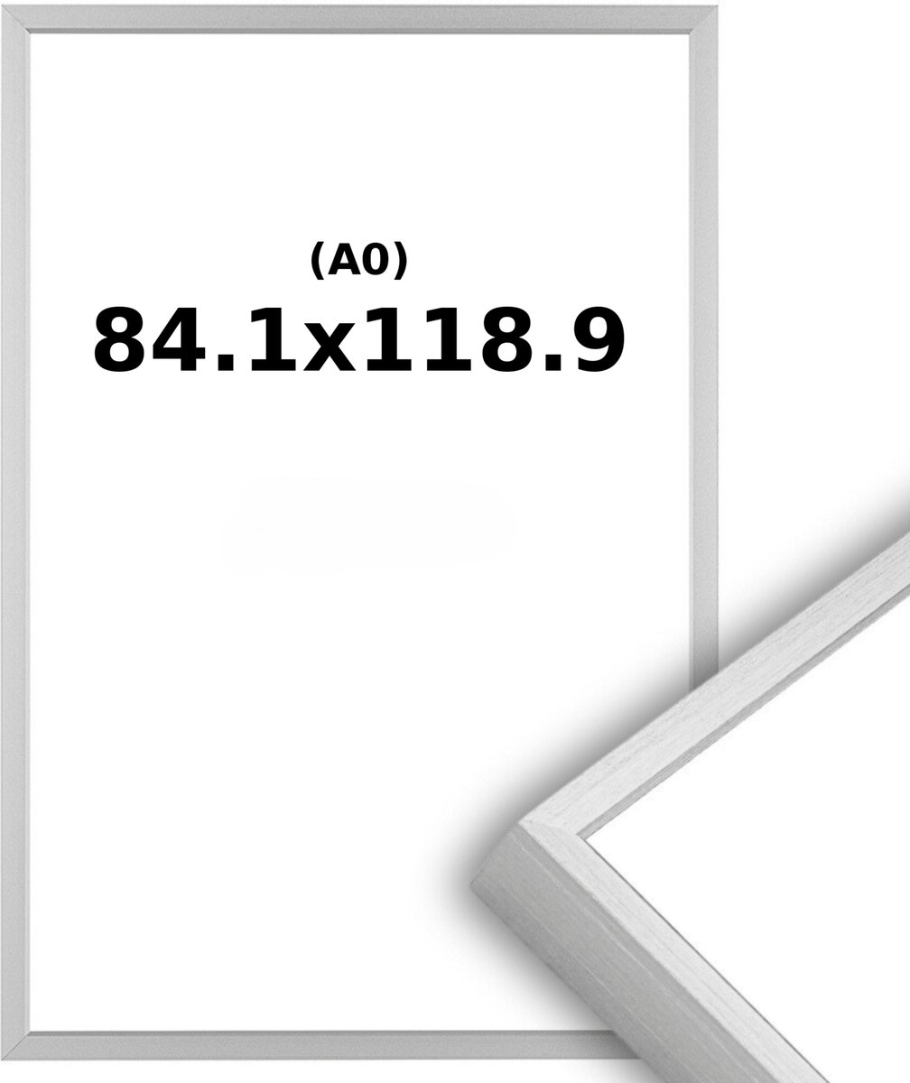 Lichtendonk Aluminium Wissellijst A0 - 84,1 x 118,9cm Mat Zilver - Ontspiegeld Acrylite - Professional