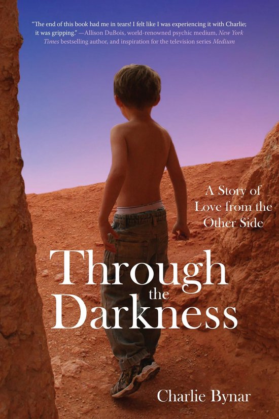 Through the Darkness - cover