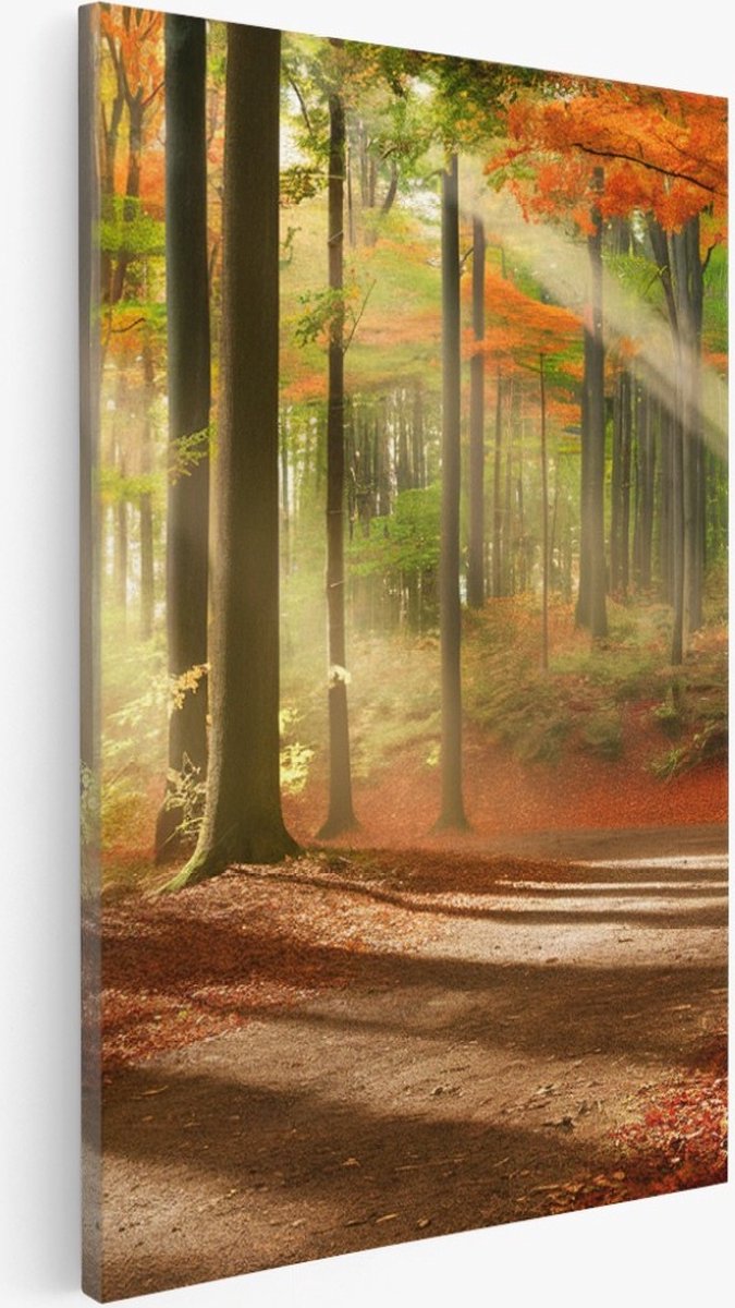 Saammp Canvas Schilderij - Pad door het bos - Herfst - Zon - Landschap - Natuur - 40x50 - Foto op canvas - Wanddecoratie - Muurdecoratie Woonkamer - Slaapkamer decoratie - Canvas Print Multicolor