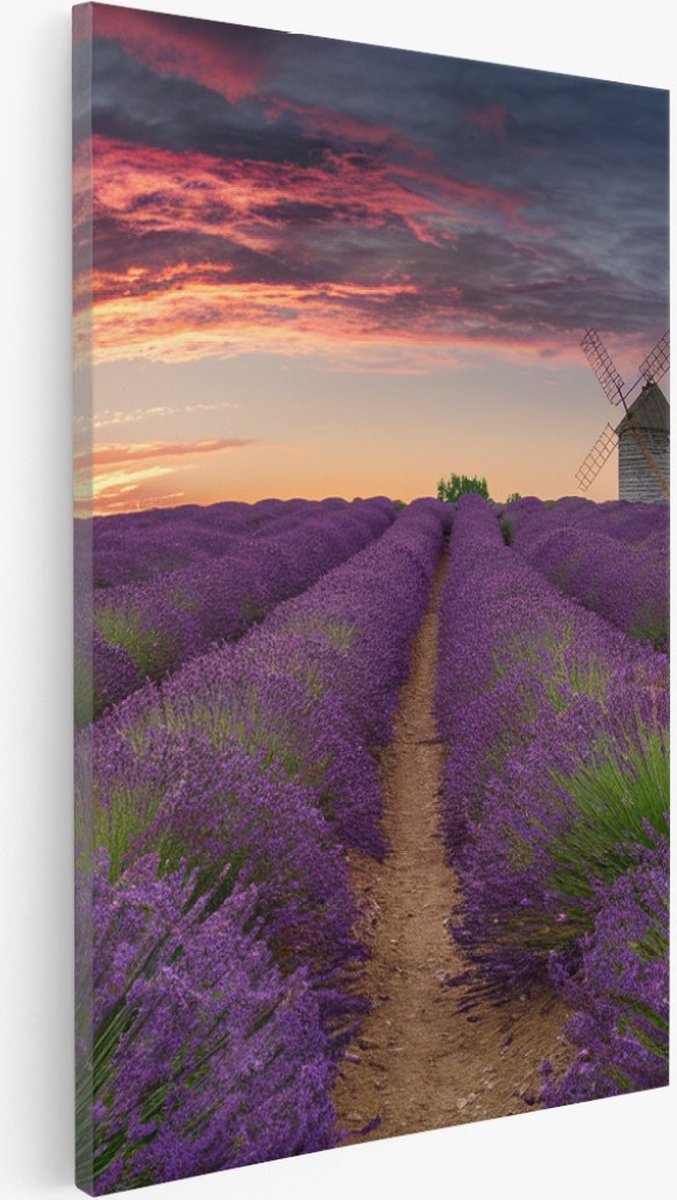 Saammp Canvas Schilderij - Lavendel met mooie lucht en een molen - Natuur - Landschap - 100x150 - Foto op canvas - Wanddecoratie - Muurdecoratie Woonkamer - Slaapkamer decoratie - Canvas Print Multicolor