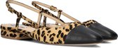 Escarpins Steve Madden Belinda-l pour femmes - Zwart - Taille 39