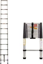 Bol.com Telescopische Ladder Dyma - 380CM - Roestvrijstalen Vouwladder - Draagbare Uitschuifbare Loft Ladder - Max. Belasting 15... aanbieding
