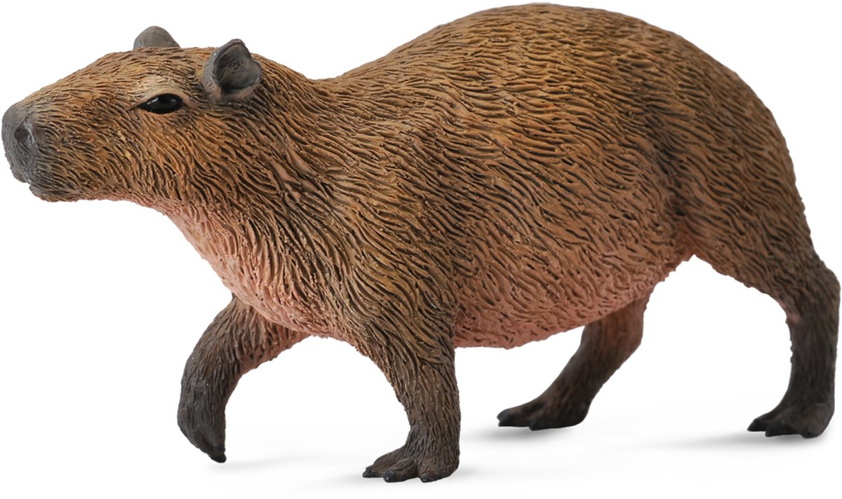 Figurine - Waterzwijn - (M) - Bosdieren - Handgeschilderd - Miniatuur de Collecta en Marron – photo du produit