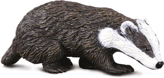 COLLECTA Figurine - Europees-Aziatische Das - (S) - Bosdieren - Handgeschilderd - Miniatuur