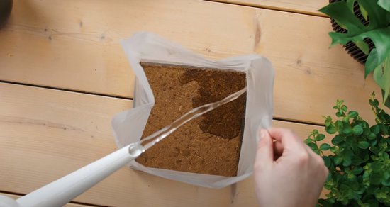 Water wordt gegoten op een blok bruine kokos potgrond in een plastic zak.