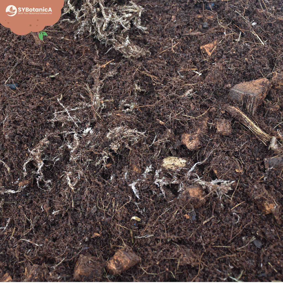 SYBASoil Terrarium mix 5L - Turfvrije Potgrond Mix - ABG Mix