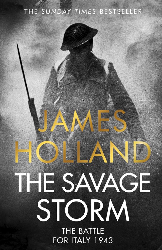 The Savage Storm - cover