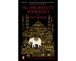 Omslag van The Architect's Apprentice