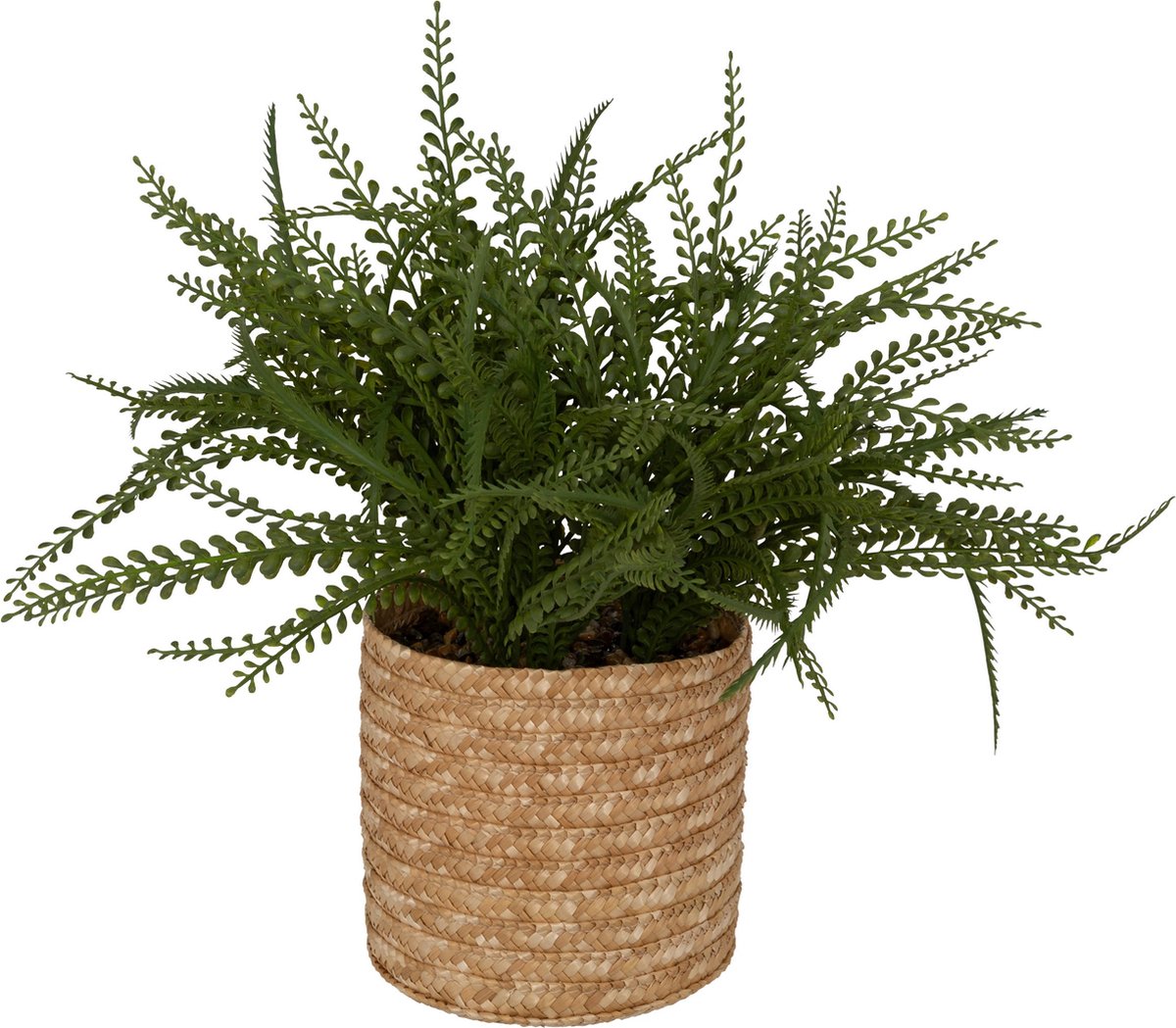 Atmosphera Kunstplant Varen met pot - 45x30x45cm - Groen