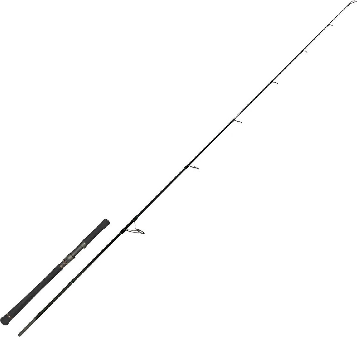 Zeck Evo Cat Spin 2.40 m 100 gr
