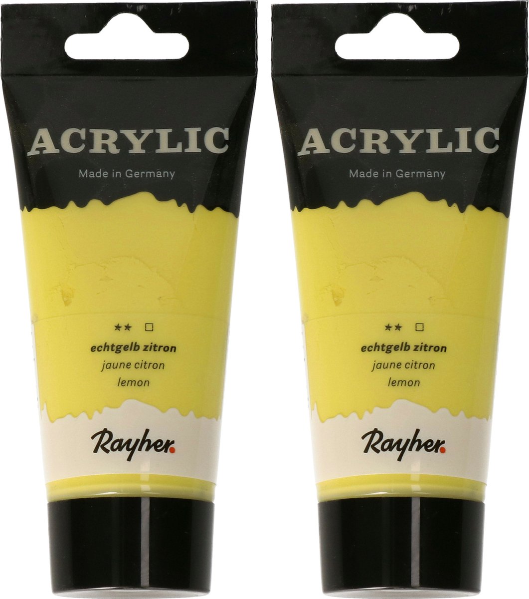 Rayher hobby Acrylverf op waterbasis - 2x - geel - 75 ml - Schilderen/knutselen - Voor kinderen en volwassenen