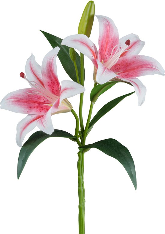 Flourify, Lys avec bourgeons - 6 pièces - fleur artificielle - plante artificielle - rose/vert - 39 cm