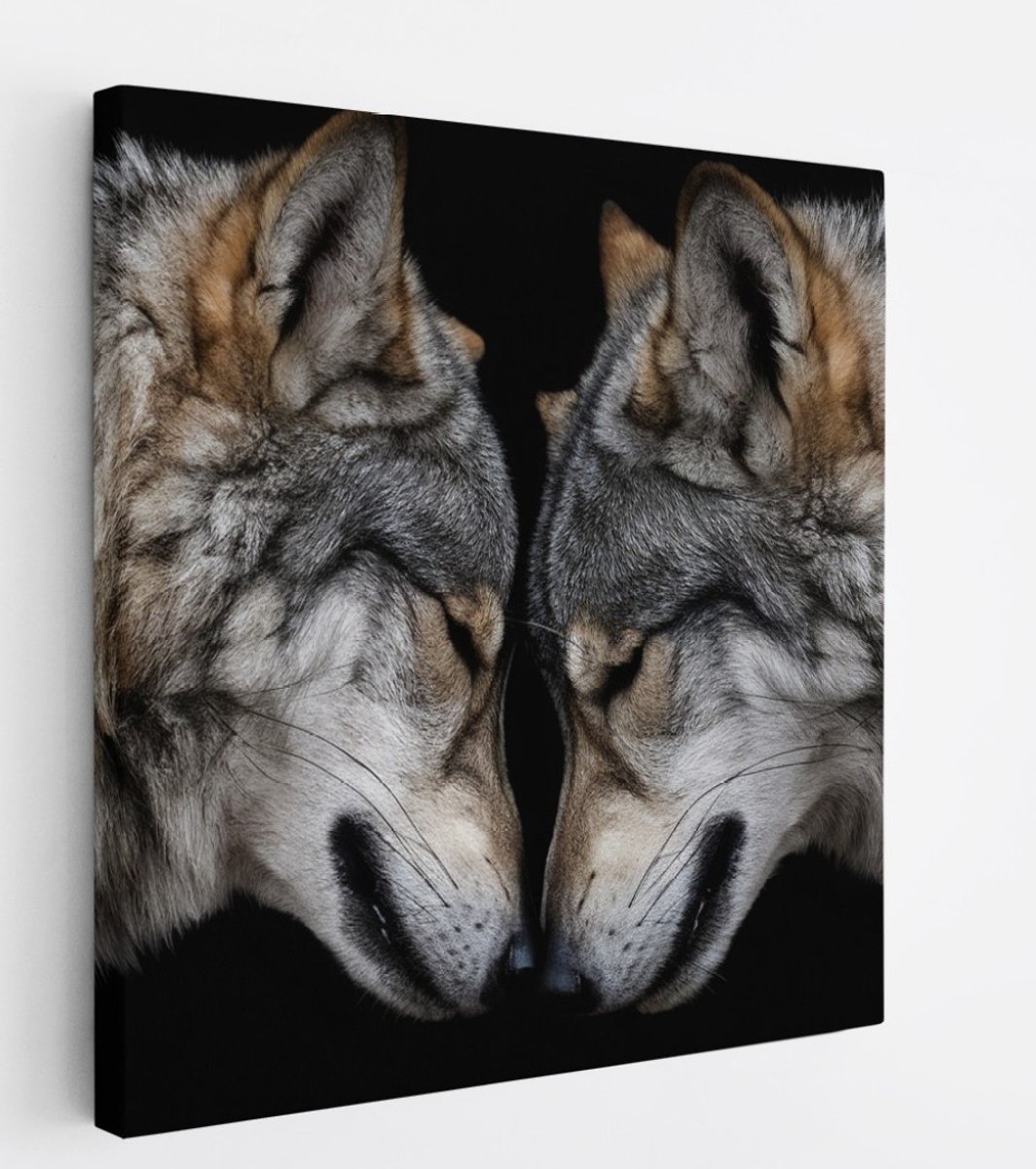 Saammp Canvas Schilderij - 2 Wolfen - Dieren - Natuur - 20x20 - Foto op canvas - Wanddecoratie - muurdecoratie Woonkamer - Slaapkamer decoratie - Canvas Print Multicolor