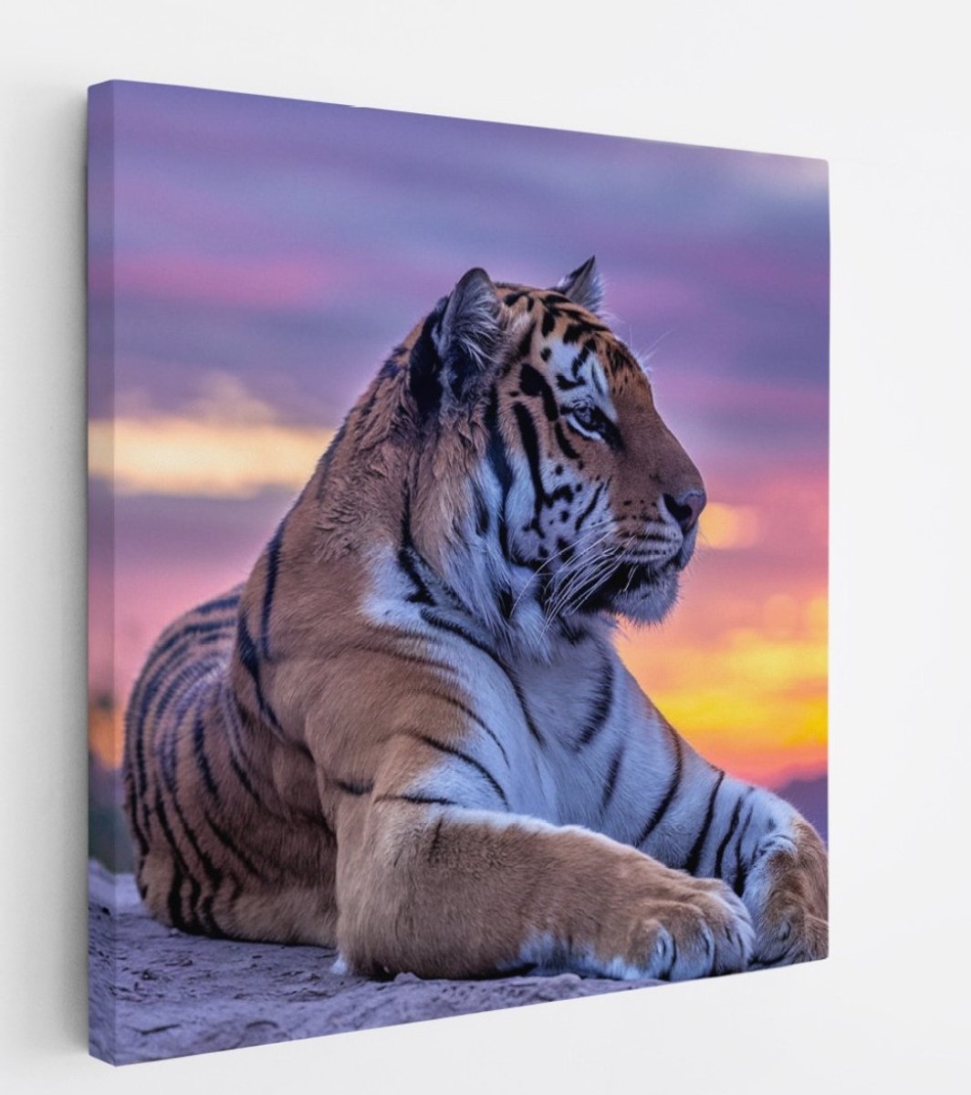 Saammp Canvas Schilderij - Tijger op steen tijdens zonsondergang - Natuur - Dieren - 30x30 - Foto op canvas - Wanddecoratie - muurdecoratie Woonkamer - Slaapkamer decoratie - Canvas Print Multicolor